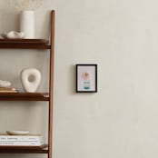 "Dinner Plate Dahlia" - Art Print in Blush Pink by Joelle Segal - In a Room