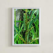 " Cryptic Caterpillars" - Art Print in Leafy Green by Sonya F Contino - Framed