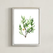 "Botanical No 20" - Art Print in Spring Leaf by Leah Bisch - Framed