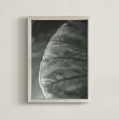 "Leaf Series Nº1" - Art Print in Silver Sage by Anne Ciotola - Framed