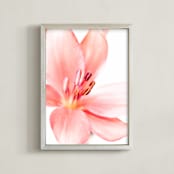 "Lily Splash I" - Art Print in Blush by Renée Stramel - Framed