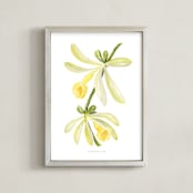 "Vanilla orchid" - Art Print in Vanilla by Rosana Laiz Blursbyai - Framed