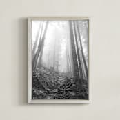"Secret Forest No. 4" - Art Print in charcoal grey by Lynann Colligan - Framed