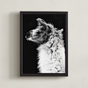"Kai" - Art Print in Black White by Amy Carroll - Framed Canvas