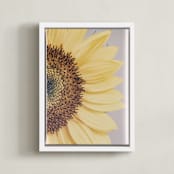 "Half Sunflower" - Art Print in soft yellow by Alexis Arnold - Framed Canvas