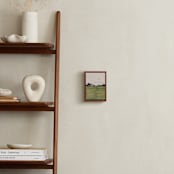 "Quiet Horizon" - Art Print in Golden Sage by Alisa Galitsyna - In a Room