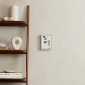 "Clipping" - Art Print in summer green by Monica Loos - In a Room