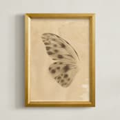 "Vintage Mariposa I" - Art Print in Vintage Ivory by jinseikou - Framed