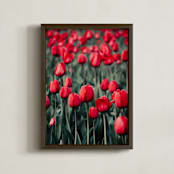 "Red Tulips" - Art Print in Red by Lucila Naves - Framed