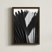 "Palmery 2" - Art Print in Black and White by Catherine Culvenor - Framed