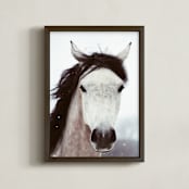 "Winter Horse" - Art Print in white by ALICIA BOCK - Framed
