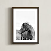 "A Horse and the Wind" - Art Print in Icland wind by Ilze Lucero - Framed