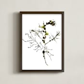 "kelp print 003" - Art Print in seaweed green by aeryn donnelly design - Framed