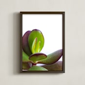 "succulents close up" - Art Print in grass green by Jill Pauli - Framed