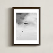 "Soaring Trio 3" - Art Print in Charcoal by Three Wings North - Framed