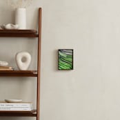 "Green with Envy" - Art Print in Green Surf by Margaret Williams - In a Room