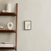 "Yellow Crocus" - Art Print in spring yellow by Belia Simm - In a Room