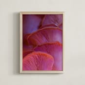"Pink Oyster Mushrooms" - Art Print in Dreamy Pink Violet by Elena Kulikova - Framed