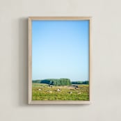 "Pasture of cows" - Art Print in BlueGreen by Lying on the grass - Framed