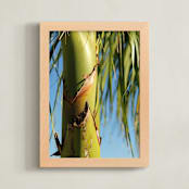 "Sunny Palm" - Art Print in Palm Green by Melissa Agular - Framed
