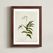 "Foraged III" - Art Print in Verdant by Kamala Nahas - Framed