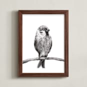 "Little Sparrow" - Art Print in Charcoal by Elly - Framed
