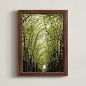 "Canopy of Trees" - Art Print in Green by Eric Clegg - Framed