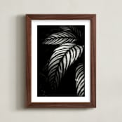 "Botanical Study #10" - Art Print in Black and grey by Kaitie Bryant - Framed