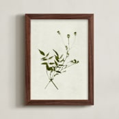 "foraged IV" - Art Print in verdant by Kamala Nahas - Framed