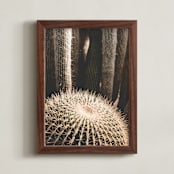 "Pointy Petra" - Art Print in Cactus Beige by K.Short - Framed
