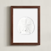 "Modern Sand Dollar" - Art Print in Ice Grey by Artsy Canvas Girl Designs - Framed