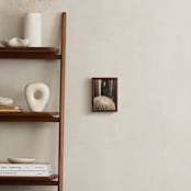 "Pointy Petra" - Art Print in Cactus Beige by K.Short - In a Room