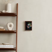 "Botanical Series Black" - Art Print in multi colored by Caryn Owen - In a Room