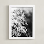 "Dancing grass II" - Art Print in Shadow by Magdalena Kucova - Framed