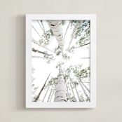 "Aspens at Altitude" - Art Print in Wonderfully White by Kaleb Nimz - Framed