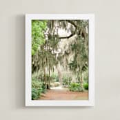 "Spanish Moss" - Art Print in Savannah Grey by Lindsay Madden - Framed