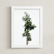"Solo" - Art Print in spring rain by Kamala Nahas - Framed