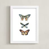 "Butterfly Colorful Watercolors" - Art Print in Butterfly wing black by Lauren Rogoff - Framed