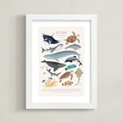 "Ocean animals endangered" - Art Print in Ivory by Sabrin Deirani - Framed