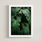 "The Jungle Room" - Art Print in Emerald Green by Owl and Toad - Framed