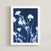 "Eschscholzia californica" - Art Print in prussian blue by raven erebus - Framed