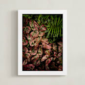 "The Jungle Room - Part 2" - Art Print in Ruby by Owl and Toad - Framed