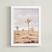 "California Desert" - Art Print in Ole Pink by Tania Medeiros - Framed