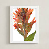 "Member 4" - Art Print in Floral Blush by Shannon - Framed