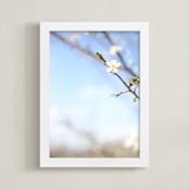 "Pear Blossom Sky" - Art Print in Sky Blue by Sara Curtis - Framed