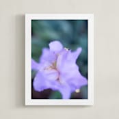 "Iris Queen" - Art Print in Lilac by Giulia Doyle - Framed