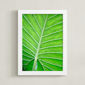 "Color Palette ll" - Art Print in balmy green by Debra Pruskowski - Framed