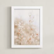 "Aegean Fauna" - Art Print in Rust by Lindsay Ferraris Photography - Framed