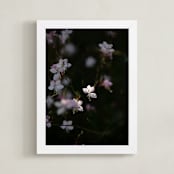 "Untamed 1" - Art Print in Wildflower by Shannon Howard - Framed