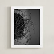 "protea dried" - Art Print in Black and white by Danielle LaRose - Framed